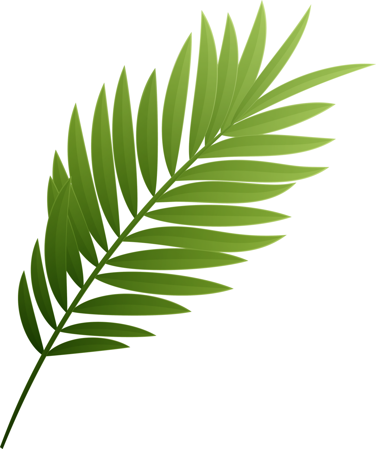 Leaf Tropic Palm